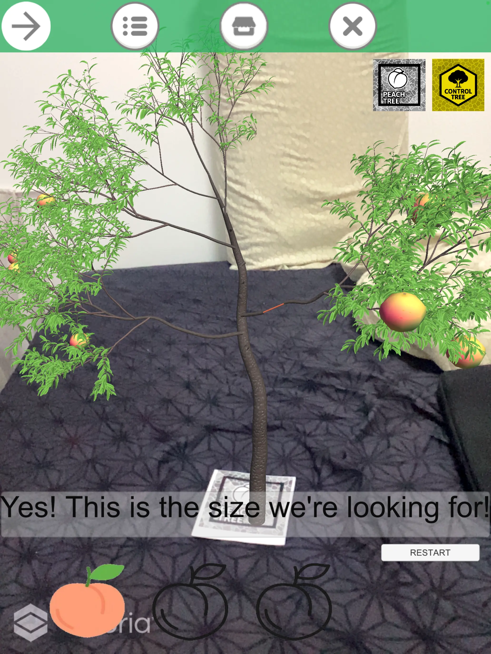 Screenshot: AR Plantsport app.